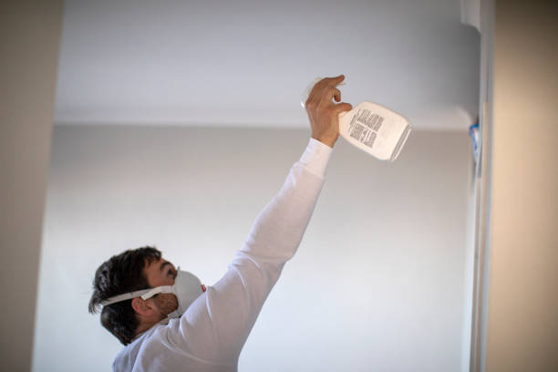 Best Preventive Mold Services in Ecru, MS